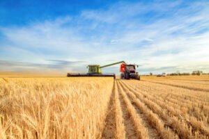interim agricole