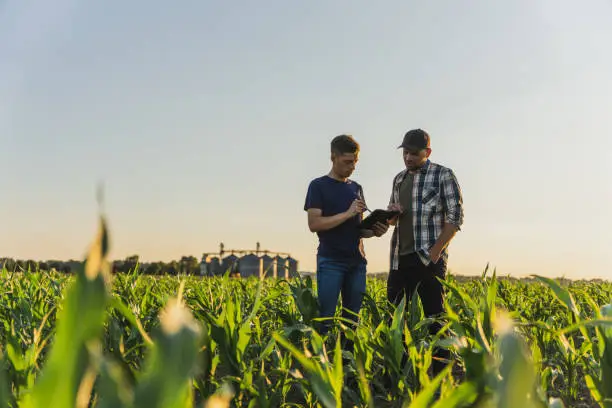 Ouvriers Agricoles Roumains