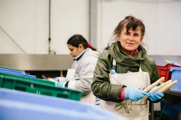 boîte intérim EU en 2024