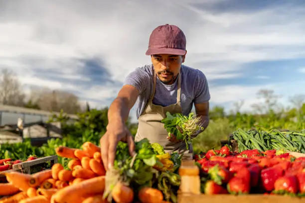 ouvriers agricoles