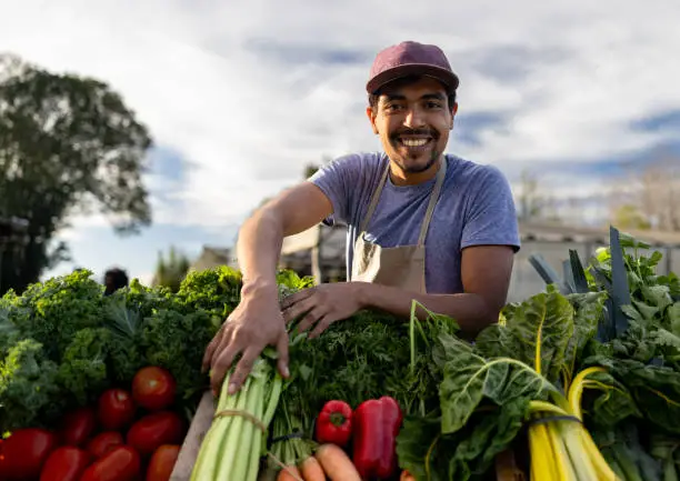 ouvriers agricoles roumains