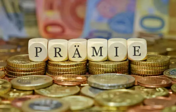 Importance du Salaire Minimum en France