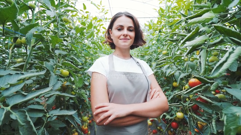 Travailleurs Roumains pour l'Agriculture